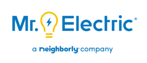 Mr. Electric