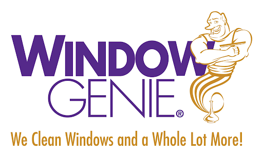 Pronexis Success With Window Genie